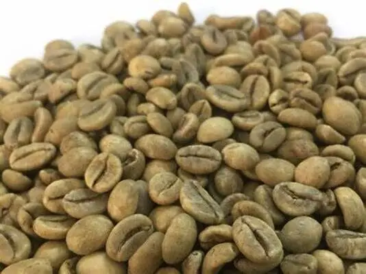 KING COFFEE - High Quality Vietnam Robusta Coffee Beans Grade 1 Screen 16 Clean - Best Ready Raw Coffee Beans from Exporter