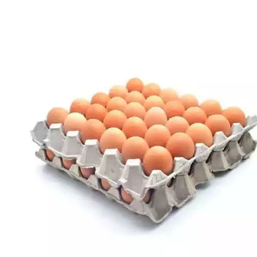 Оптовая продажа свежих белых куриных