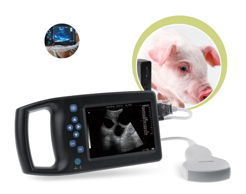Amain A6 BW veterinary instrument Veterinary Pregnancy Ultrasound Scanner with convex probe for pig sheep dog and cat