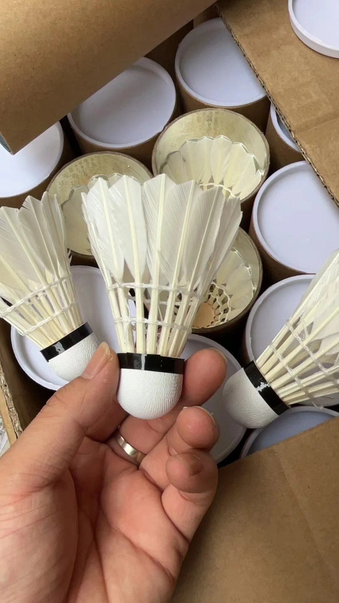High Elasticity Durability Black White Duck Feather Badminton 3/6/12 Pieces Professional Entertainment Training Badminton Barrel