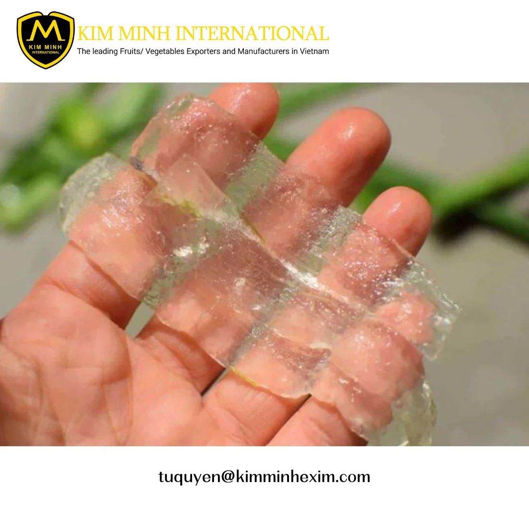 Premium Frozen Aloe Vera Dice/Chunks/Cubes - Bulk Wholesale from Vietnam - Whatsapp 8435 998 4136