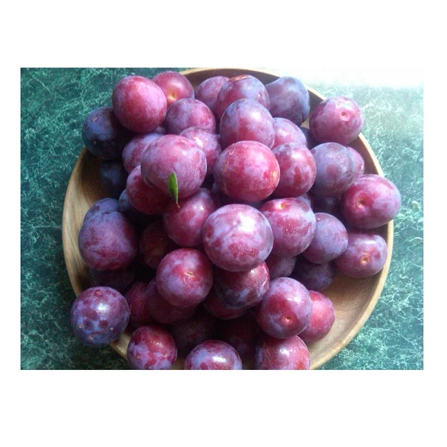 Bulk Stock Available Of Fresh Fruits Plums At Wholesale Prices