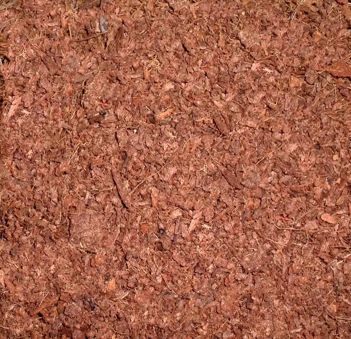 Supplier of Coco Peat Powder Cheap Price