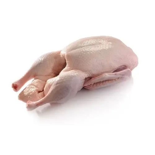 Верхнее высококачественное замороженное мясо утки для продаж
