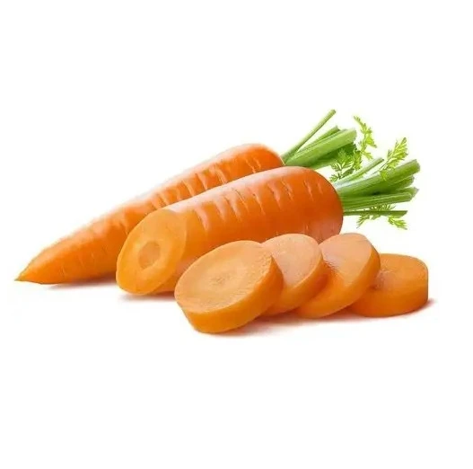 Cheap Price Nutritional Professional Vietnam Carrot Supplier Rich Quality Bulk Selling Fresh Red Carrots