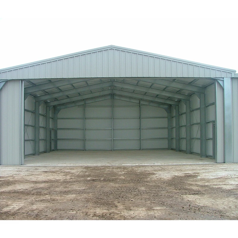 Industrial-Grade Steel Aircraft Hangar with Custom Roof and Wall Insulation