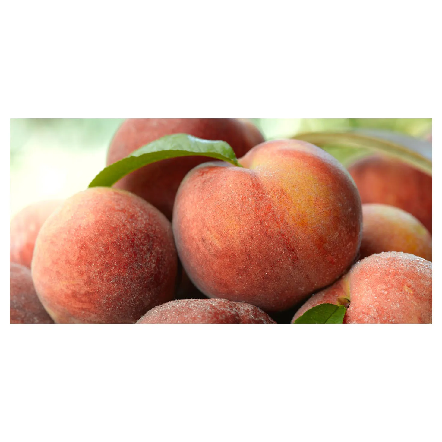 Bulk Hot Selling Freeze-Dried Honey Peach Chunks Freeze Dried Fruit Red Peach Preserved Peach Dried For Sale