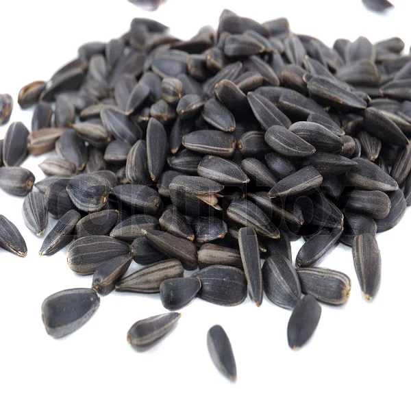Factory Supply Sunflower Seed Protein 65%