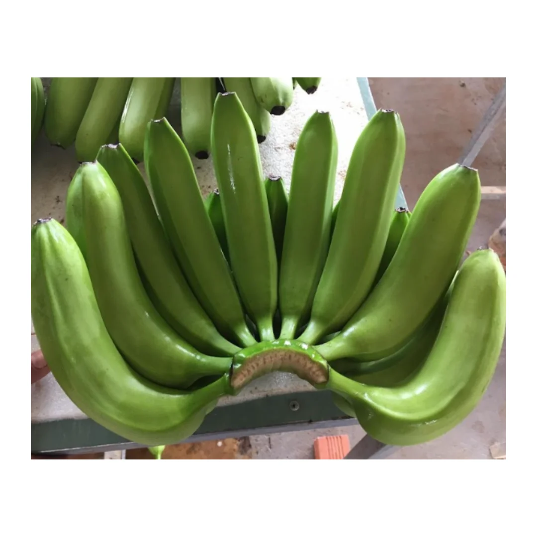 Fresh, Ripe Bananas for Every Taste Experience the Taste of Vietnam with Our Bananas Farm-Fresh Bananas, Packed with Flavor