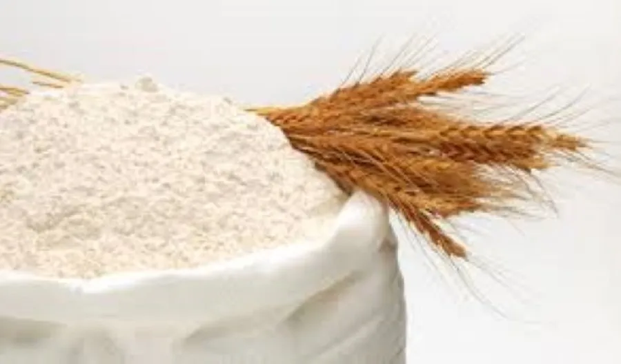 Quality Whole Wheat Flour For Export Wheat Flour 50kg/Organic Strong Bulk White Wheat Flour Price Ton