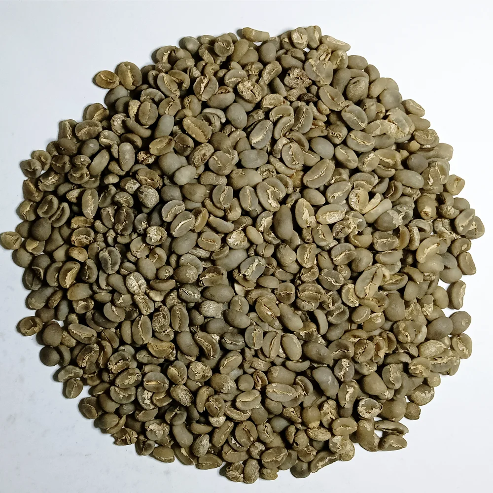 Wholesale Sumatra Mandheling Arabica Green Coffee Beans 60kg Bulk Grade 2 100% Pure Arabica Variety Raw Processing from Sumatra