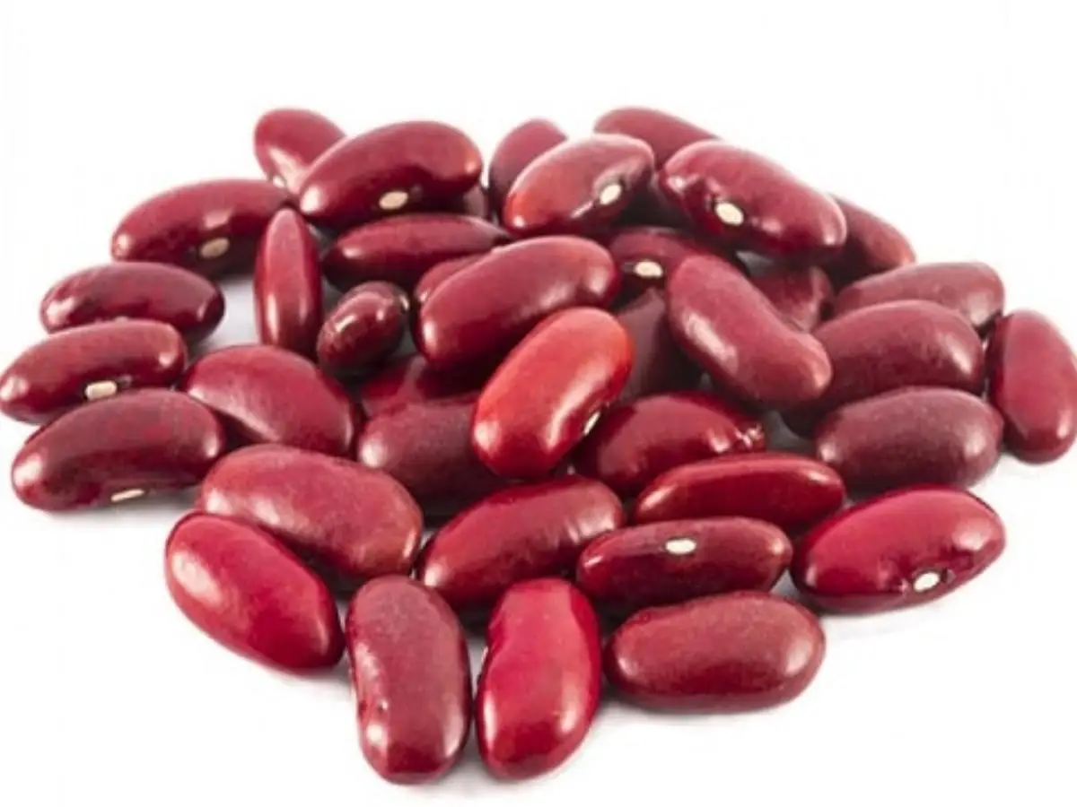 Red Kidney Beans, Round Red Kidney Beans, Best Red Speckled Beans Wholesale Dried Dark Red Kidney Bean For Sale