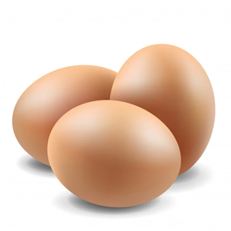 Best Price Organic White and Brown Eggs - Wholesale Farm Fresh Eggs, In Stock, Fast Shipping, Buy in Bulk