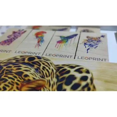 LeoPrint UV led flatbed printer commercial printing equipment suitable for glass mirrors MDF plywood wood plastic acrylic prints