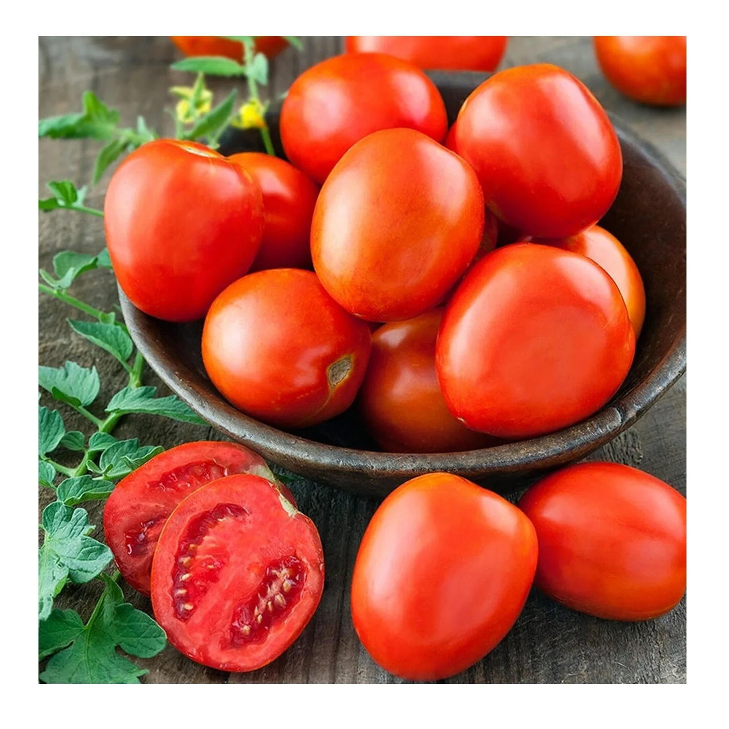 Vietnamese Fresh Tomatoes Wholesale Supplier Of All Type Fresh Tomatoes