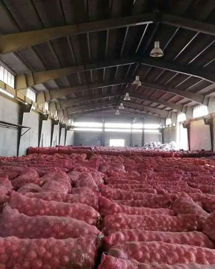 Fresh Red Onion Turkey 50mm size fresh red Turkish onions