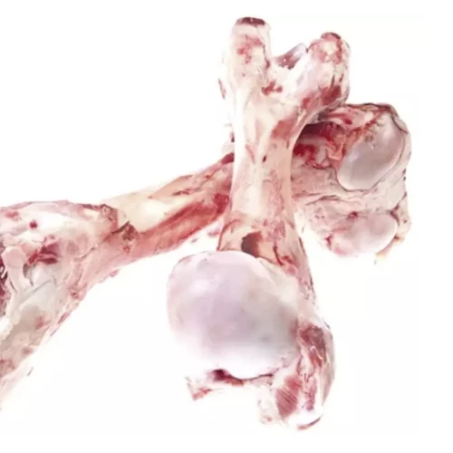 Halal Goat Fresh Chilled Meat Fresh/chilled