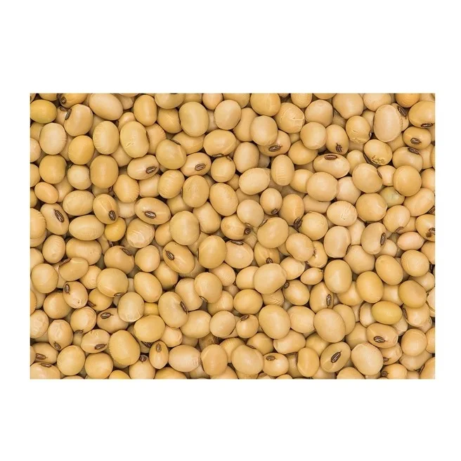 Wholesale Yellow Grade 1 Non-GMO Soya/Soja/Soybeans Organic Soybeans