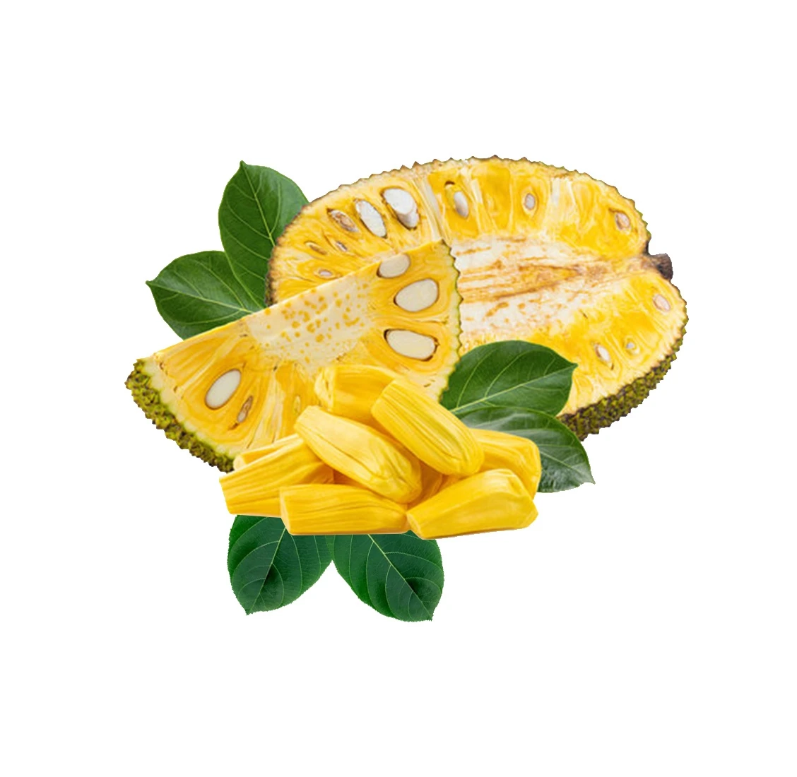 Jackfruit 100% Maturity Fresh Jackfruit With Organic Cultivation High Quality And Carefully Packaged