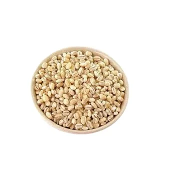 Cashew Nuts - Direct Factory - W180, W240, W320...