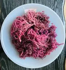 Лидер продаж 2023 товары премиум-класса SEAMOSS // фиолетовый из Вьетнама продукт хорошего качества