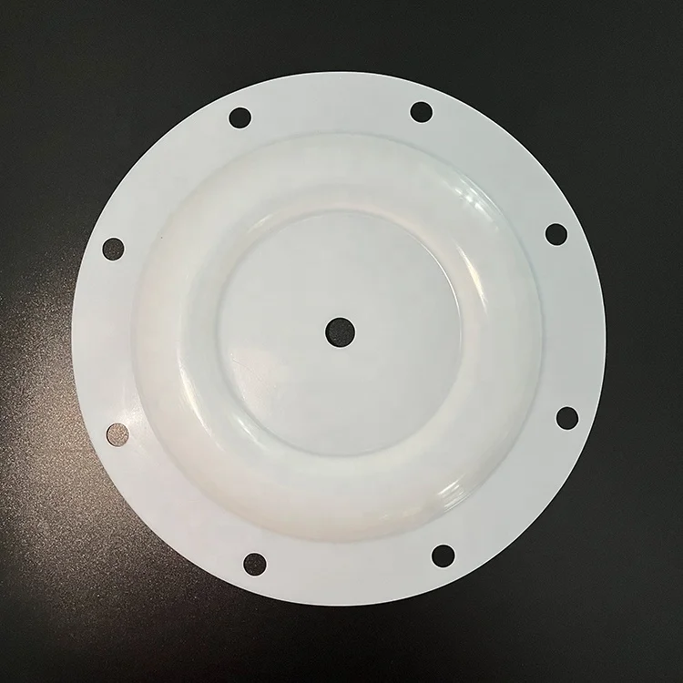 Factory Wholesale High Quality Pump Spare Parts PTFE Diaphragm for Skylink Vacuum Pump