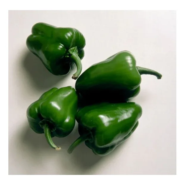 Fresh egyptian capsicum fresh bell pepper egypt high quality fresh sweet pepper cheap price 100% Natural