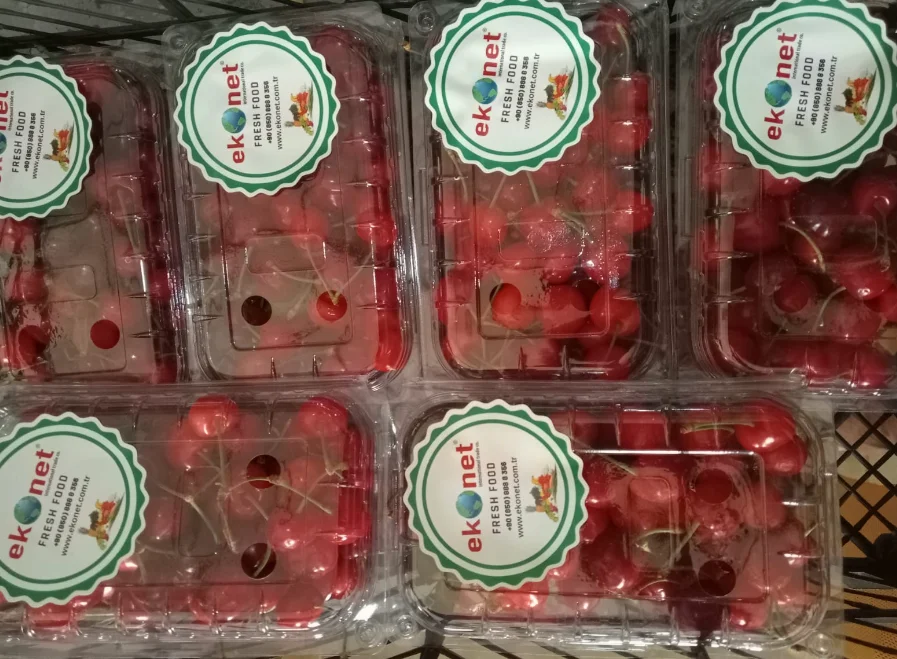 Fresh Red Cherry For Sale From Turkey Best Price 2022 High Quality