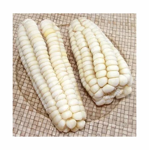 Best Quality White Corn For Sale Factory Price