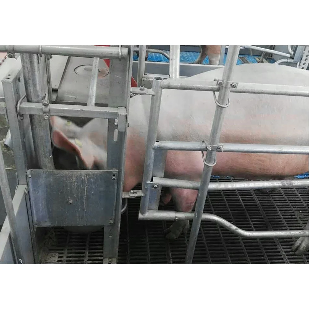 Высококачественный ковкий чугунный пол для свиней производитель оборудования