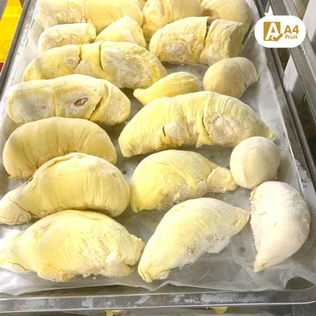 Frozen Durian Monthong  A Grade brix 25 % from Thailand Sweet Style Packing Packaging Organic