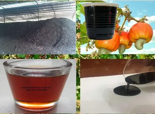 good price for export High Quality Viet Nam Cashew Nut Shell Liquid Oil The Best Choice Cashew Nut Shell Oil VIETNAM CASHEW NUT