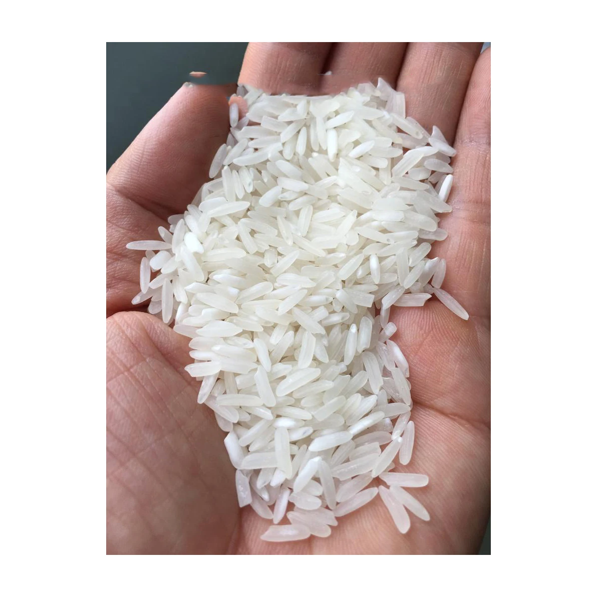 Premium Quality Organic Long Grain Rice with Best Price For Sale