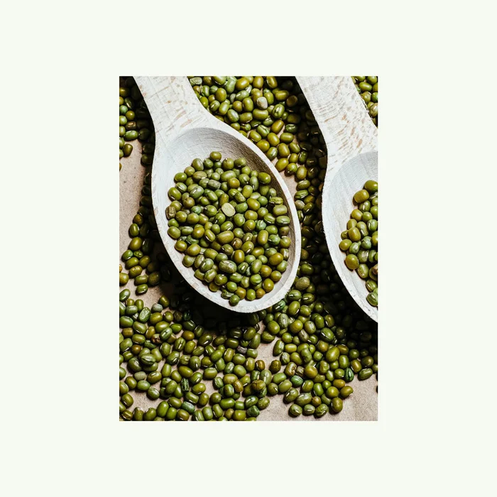 Best Quality Wholesale Green Mung Beans For Sale In Cheap Price