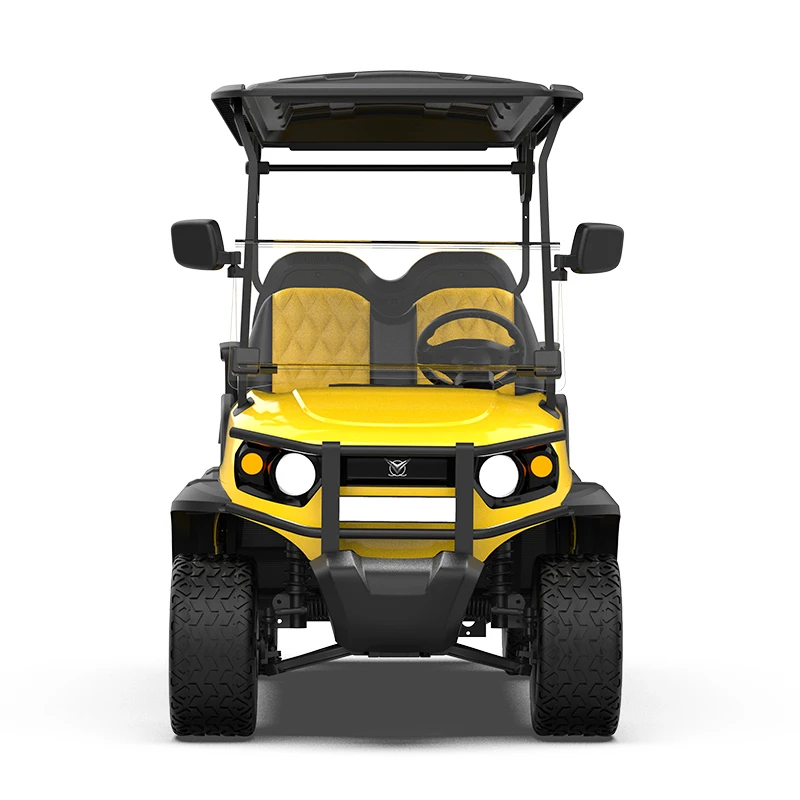 New 2 4 6 Seats ODM Service for Exclusive Brand Agent Golf Carts Electric Golf Carts