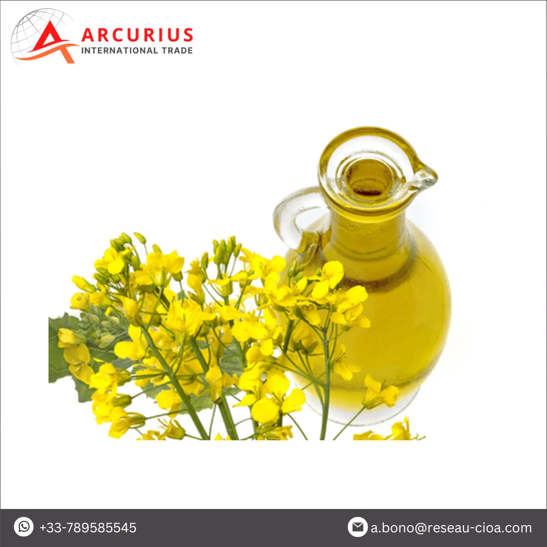 Wholesale Quantity Exporter of 100% Pure Refined Edible Rapeseed Oil/Canola Oil in Bulk Packaging for Sale