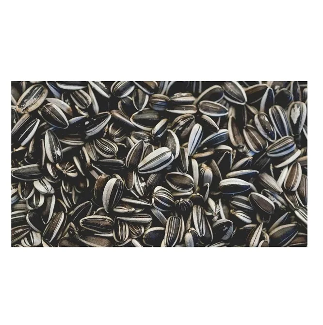 Wholesale new crop sunflower seeds roasted sunflower seeds kernel