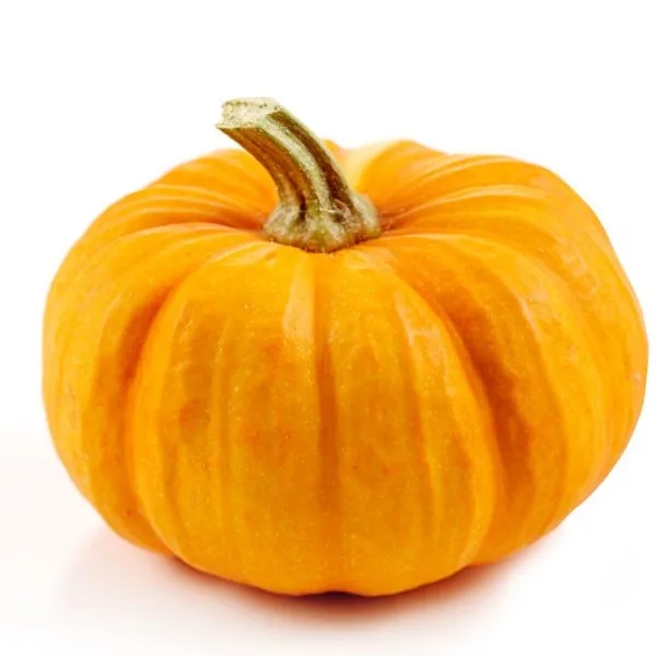Top Quality New Crop Best Price   Pumpkins/ Fresh Pumpkins Vegetables For Sale