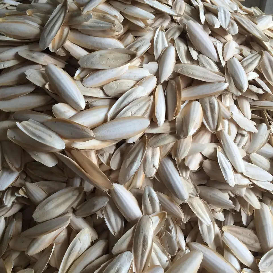 BULK SUPPLY: DRIED CUTTLEFISH BONE FOR PET NUTRITION!