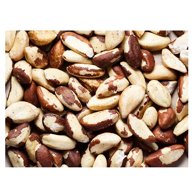 100% cheap price Brazil Nuts / Raw brazil nuts