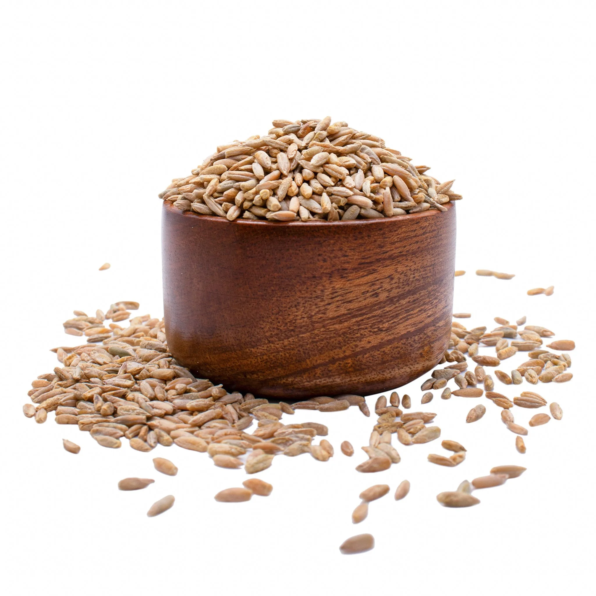 Rye Grain Seed at best price for sale Premium Quality Rye Grains for Sale at best price for export