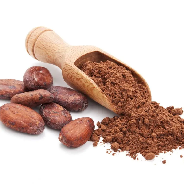 Hot Sale Premium Quality Alkalized Cocoa Powder Wholesale Dried Organic Cocoa Beans Raw Processing Form