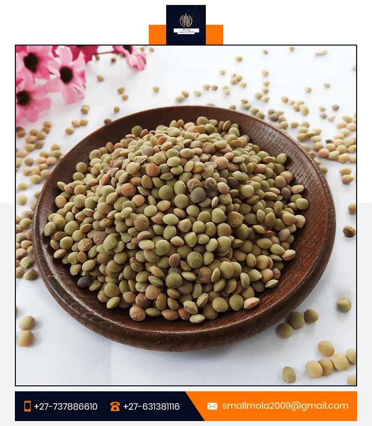 Lentils High Quality Bulk Dried whole split Lentils Red Green Lentils Supplier and Exporter