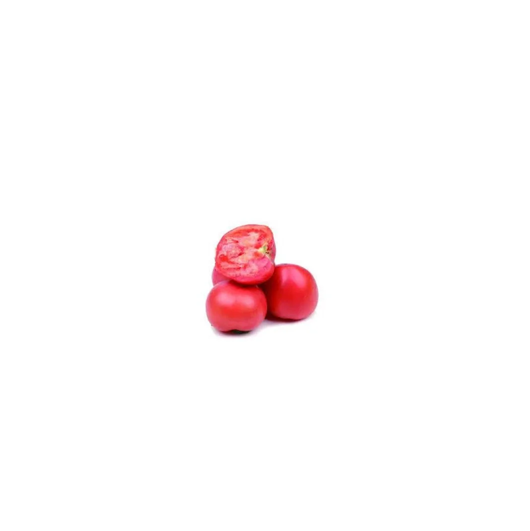 Fresh Tomato with High Quality