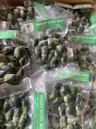 Высококачественные Замороженные гаечные орехи зеленые из Вьетнама Молодежные стандартный экспорт оптовая цена низкая