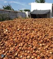 coconut shell  carbonized coconut shell natural coconut shell
