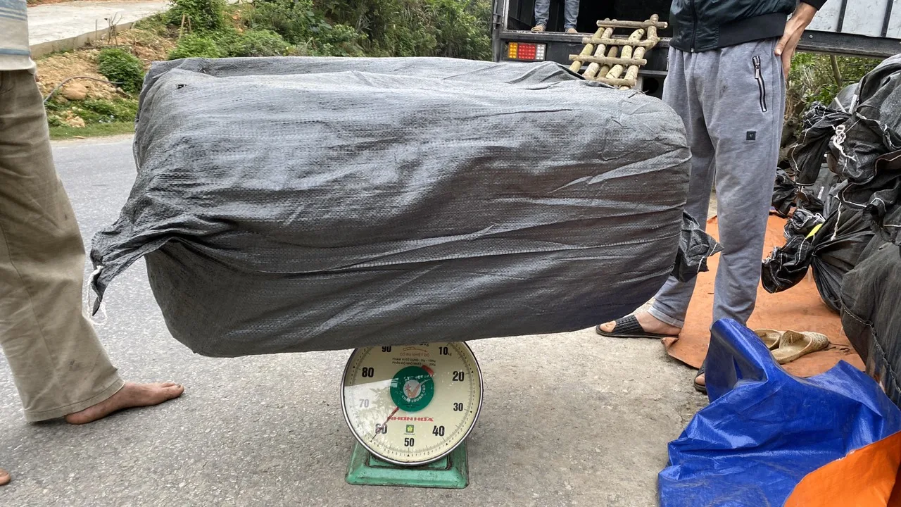 Желе из черной травы Вьетнам