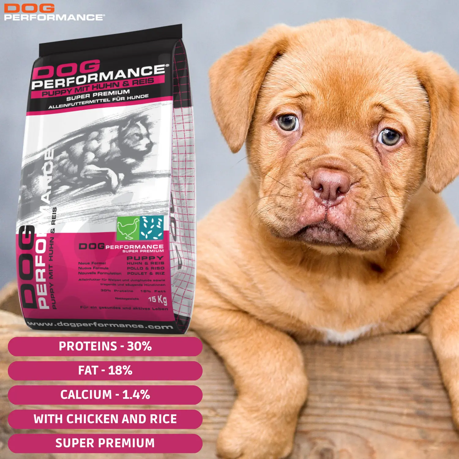 High Quality 3kg Chicken and Rice Dry Food Healthy Compact Puppy Meal for Medium and Large Breeds for Fish and Cats