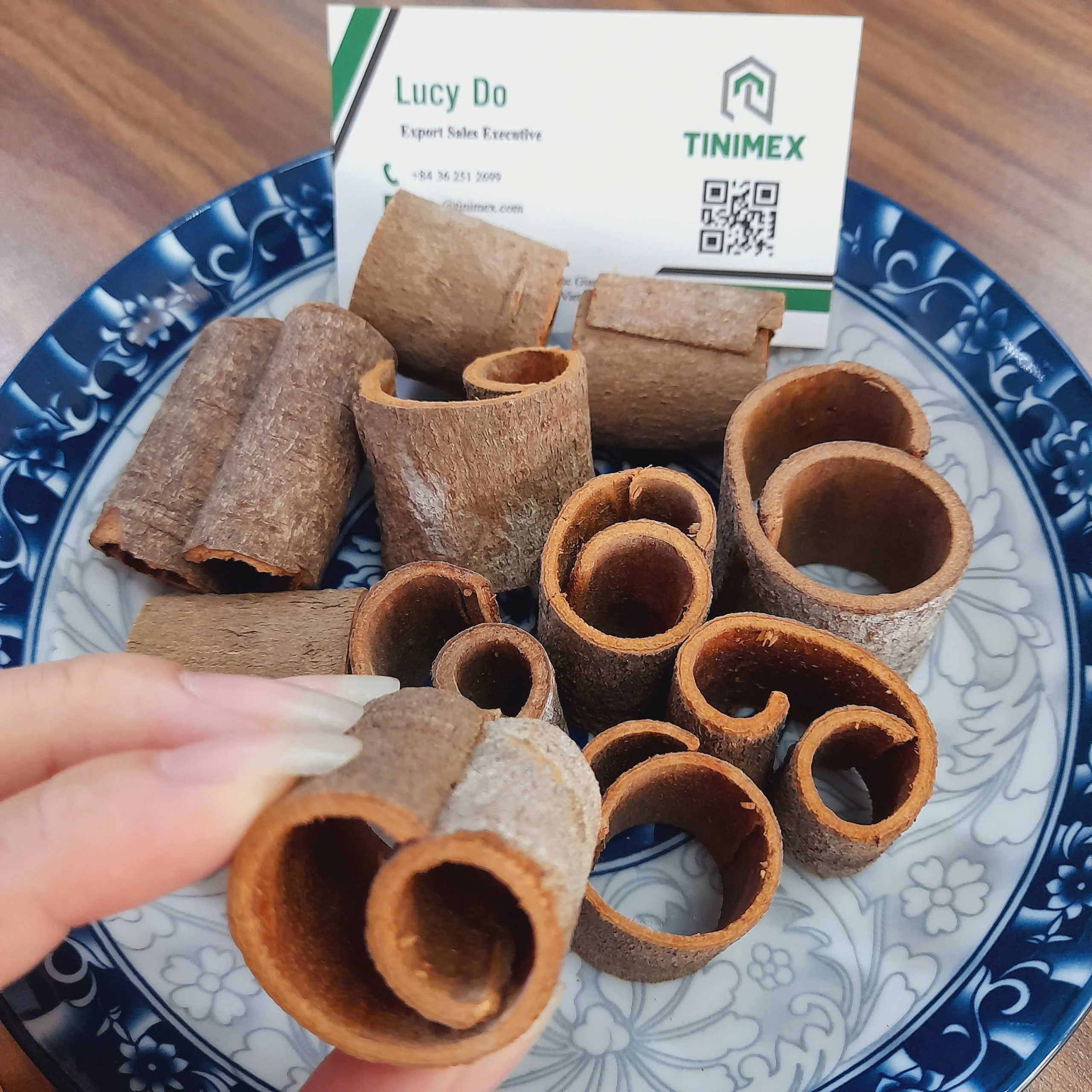 Cassia circles/ Op-choei/ Kayu manis - High Quality, Affordable Price (WhatsApp: +84362512699)