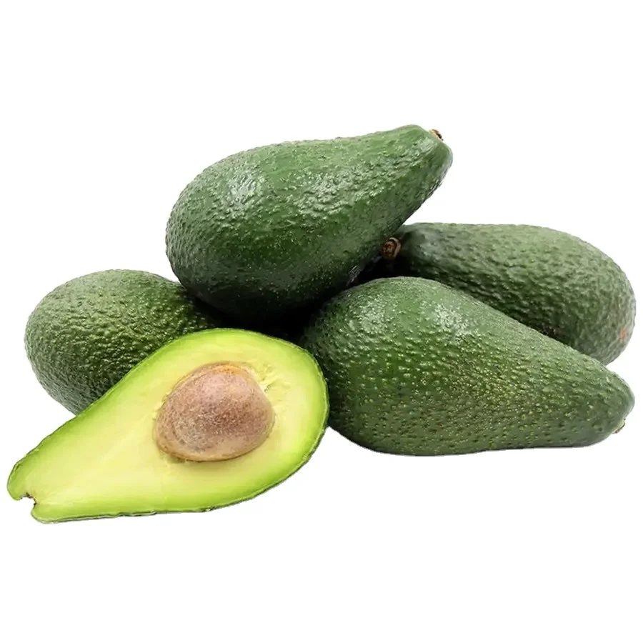 Лидер продаж свежий Премиум авокадо из Мексики-высокое качество Лучшая цена